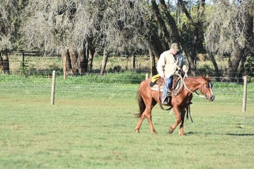 Joseph Earl Mcclelland