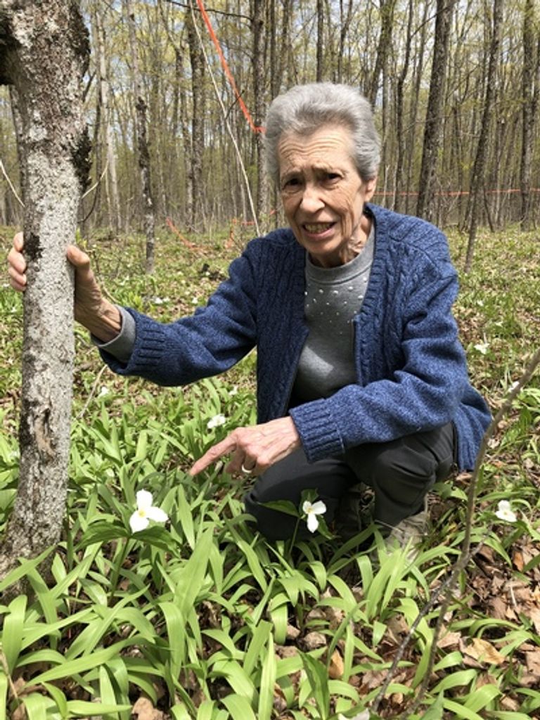 Betty Marion Breault (Nee Jubenville)