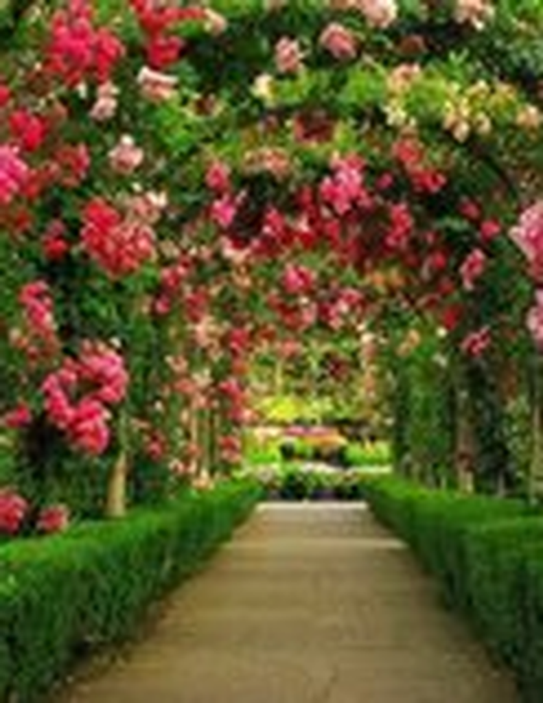 Sherrie Ann (Standridge) Clay