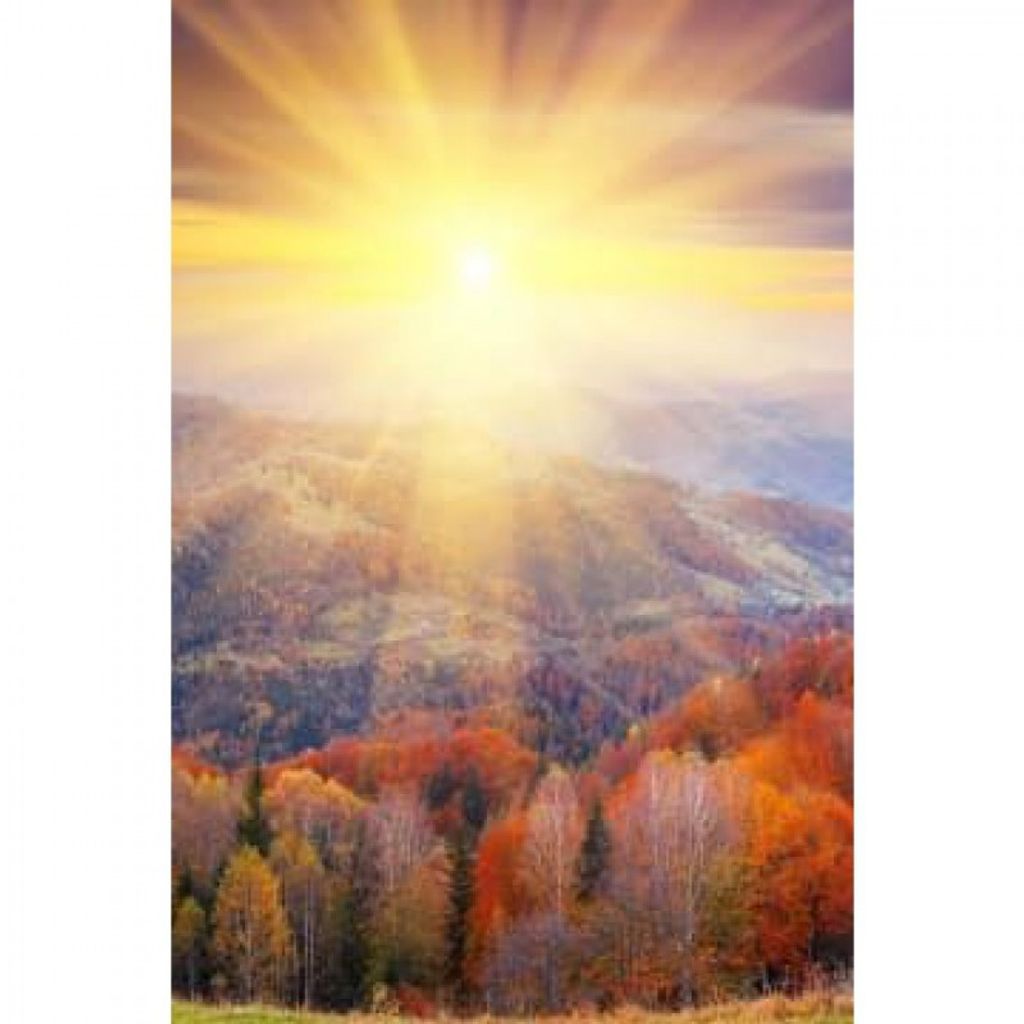 William N. Kline Profile Photo