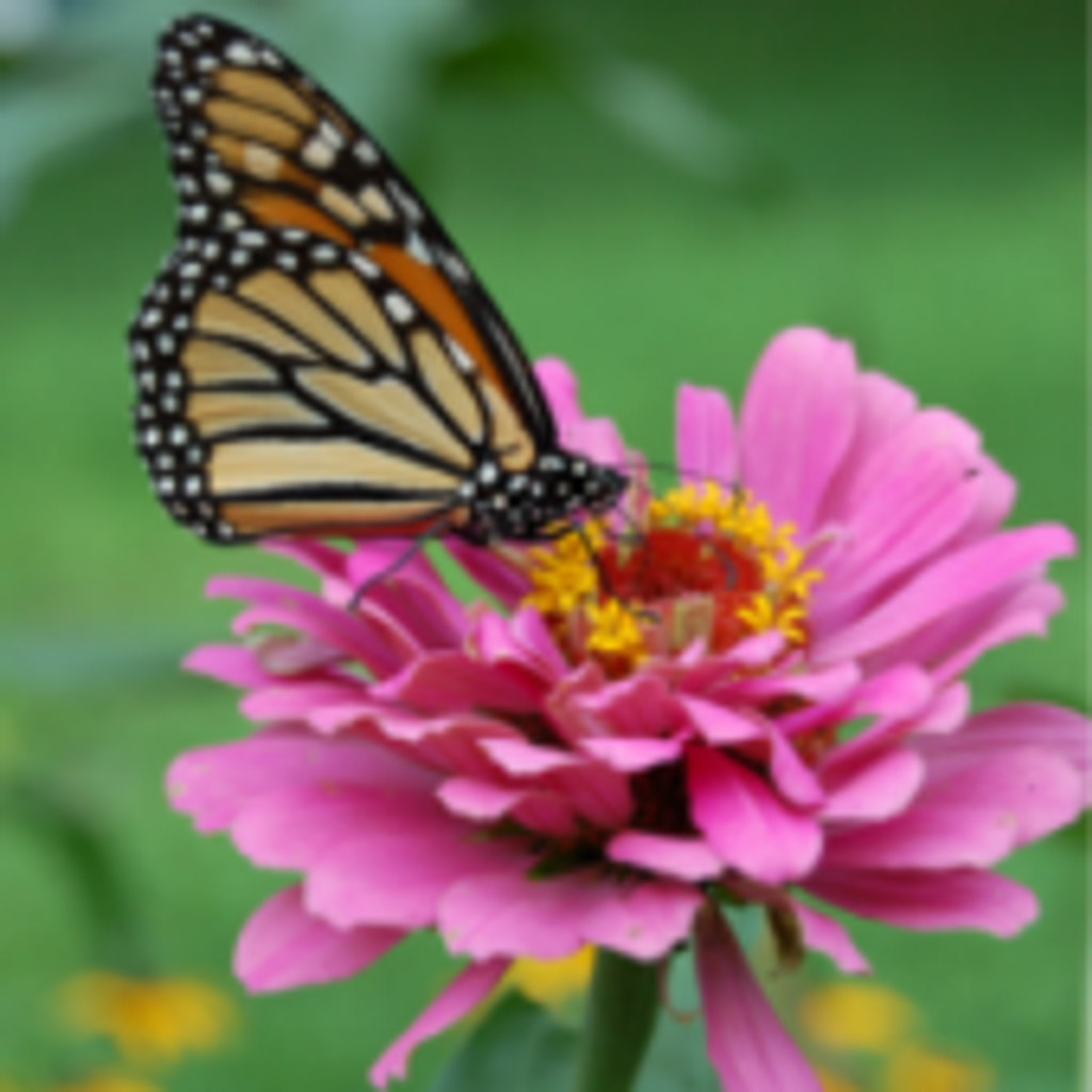 Debra L. Neidert