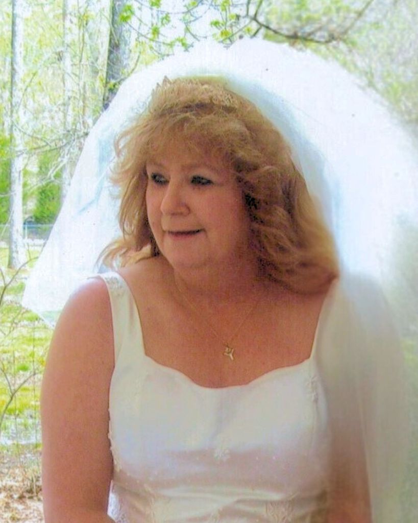 Virginia Ann Hollingsworth