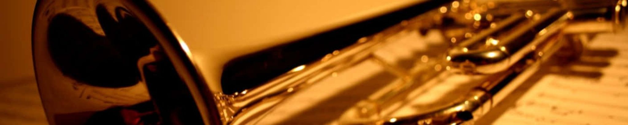 Cover for Donald J. Dziedzic's Obituary