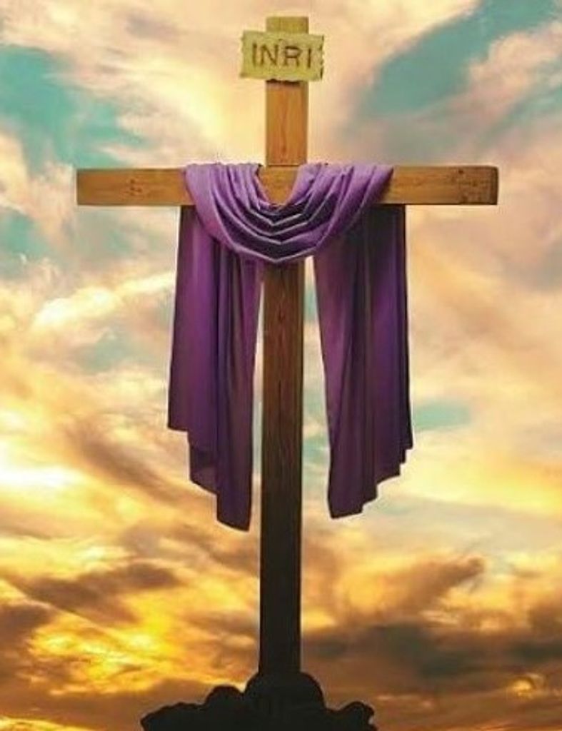 Katie Louise Barnhill Cook