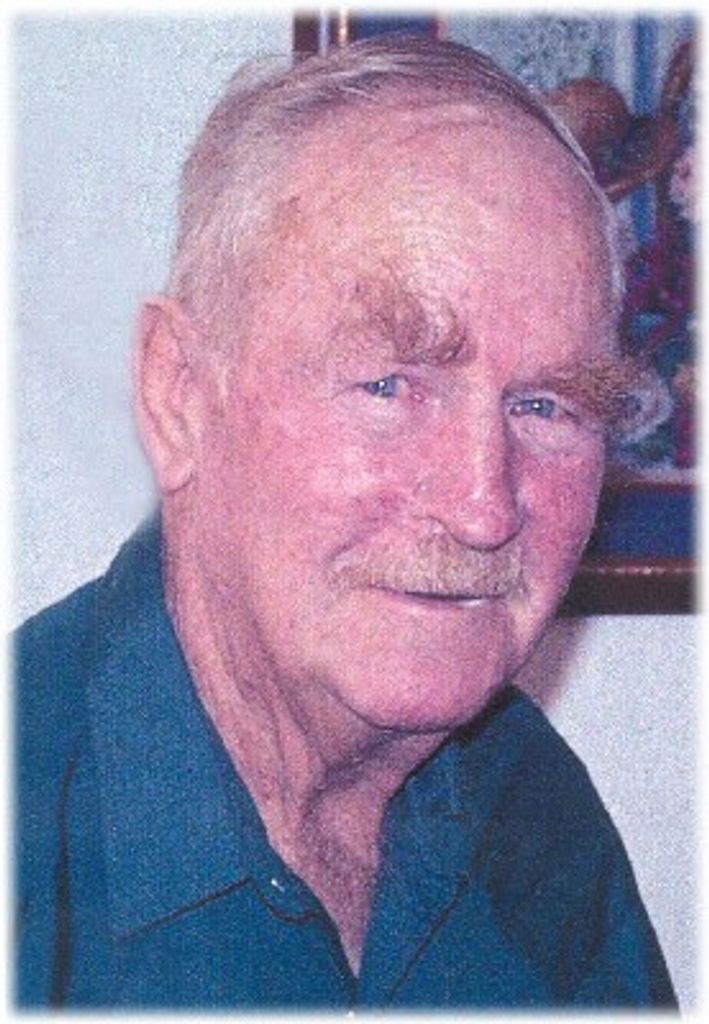 Perry L. Coleman