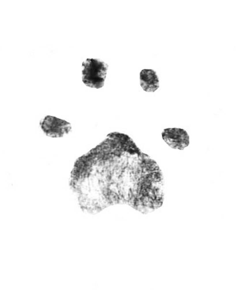 Lil'Bit Riedl Profile Photo