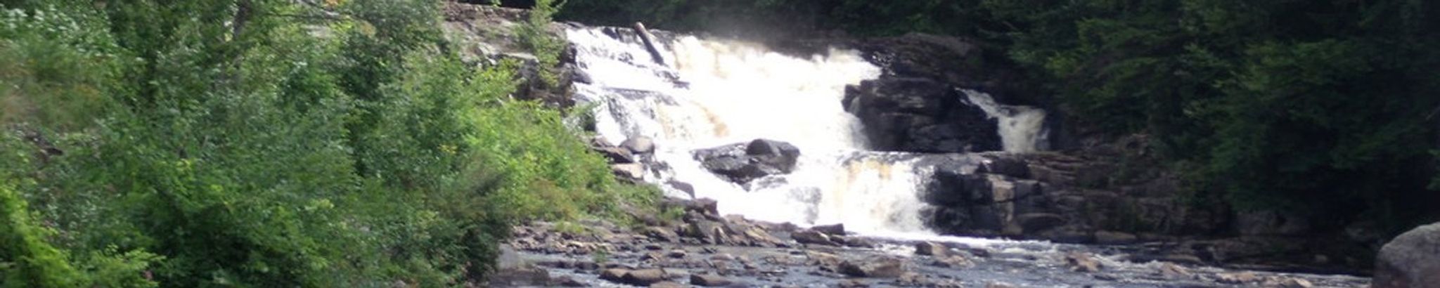 Cover photo for Arlene Bartholomew's Obituary