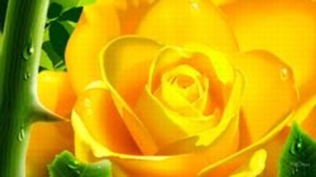 Penny Combs Profile Photo