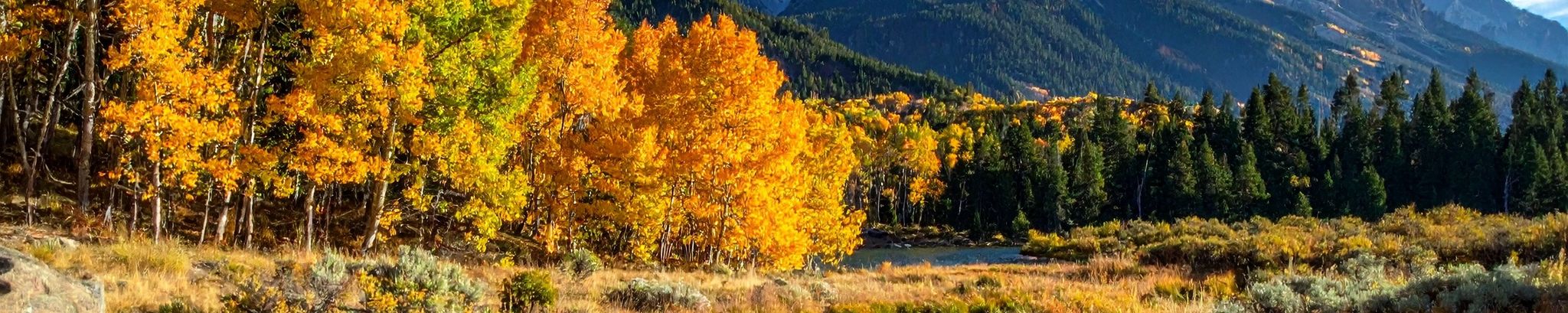 Cover for Ronald G Wilcox's Obituary