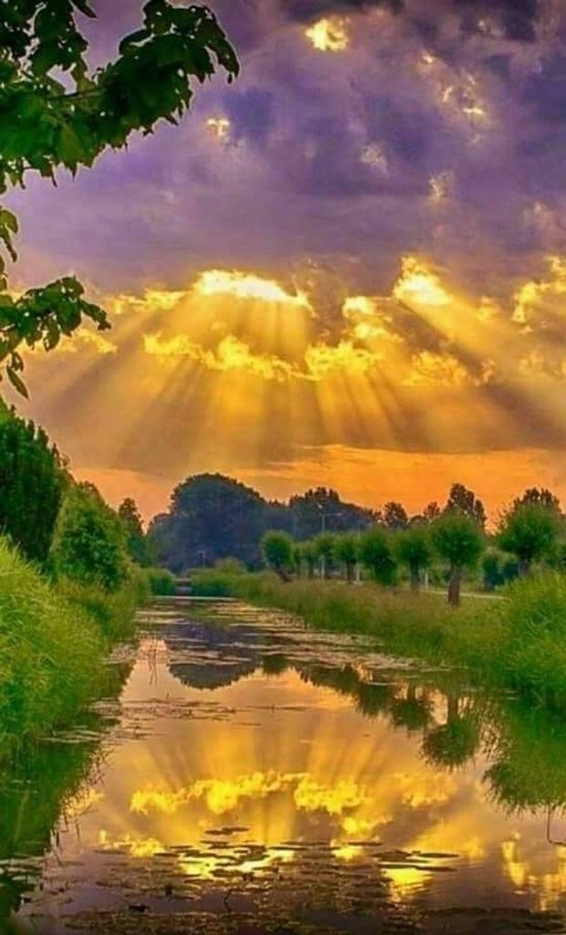 Patrick Dunn Profile Photo