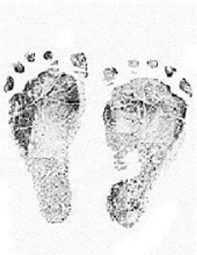 Dianna Ruby Leggore