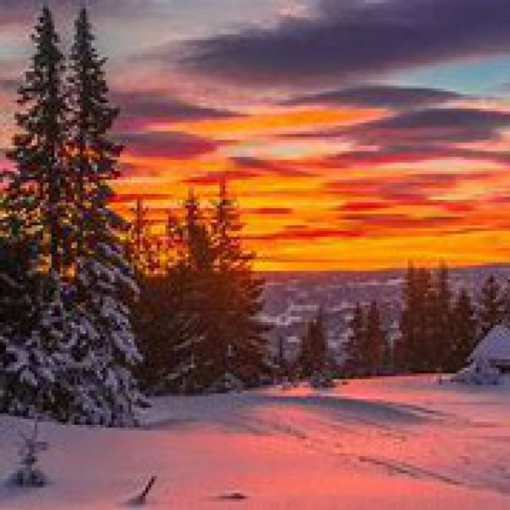 Martin David Fleischer Profile Photo