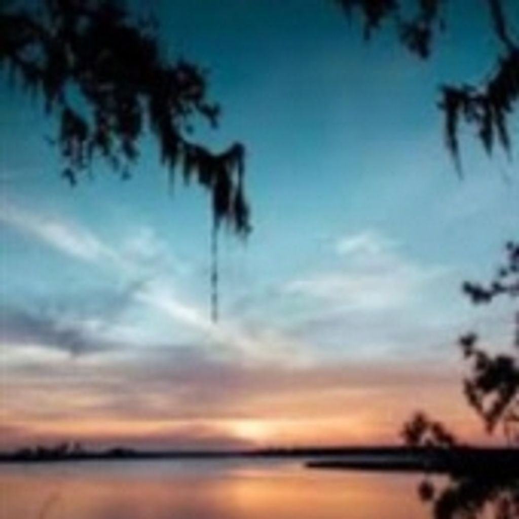 William Frederick Martin Hall