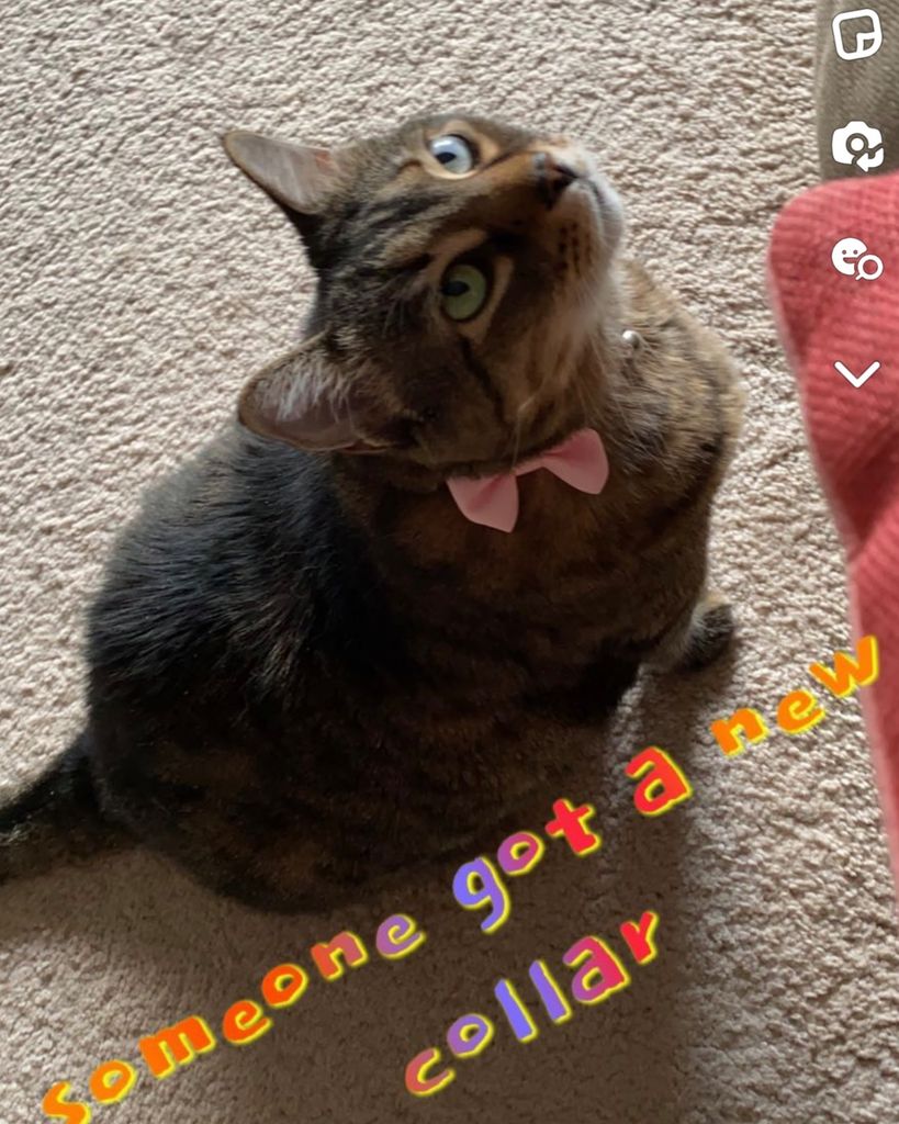 Bella Profile Photo