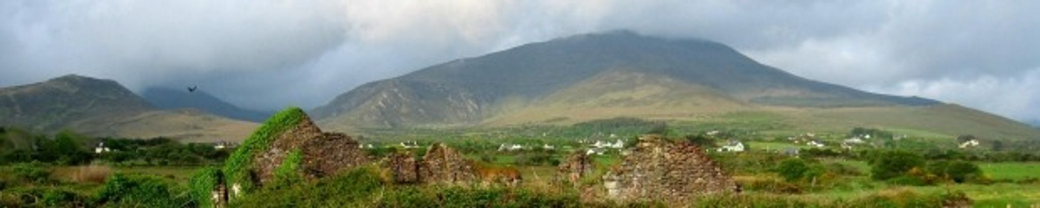 Cover for Penny J. Anderson's Obituary