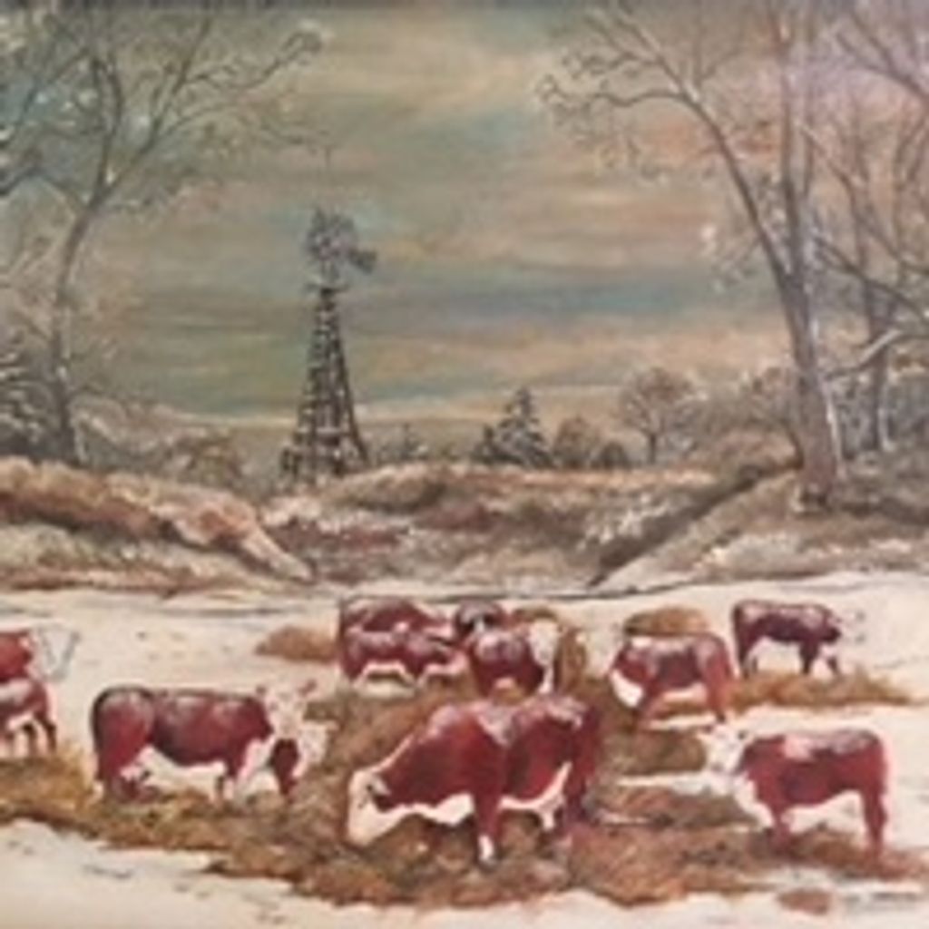 Dorothy P Marten