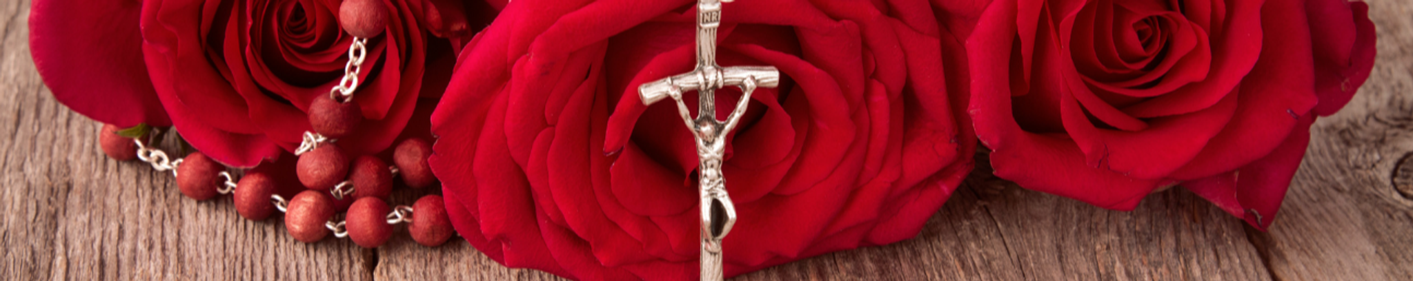 Cover for Dr. Jeanette Marie Higgins's Obituary