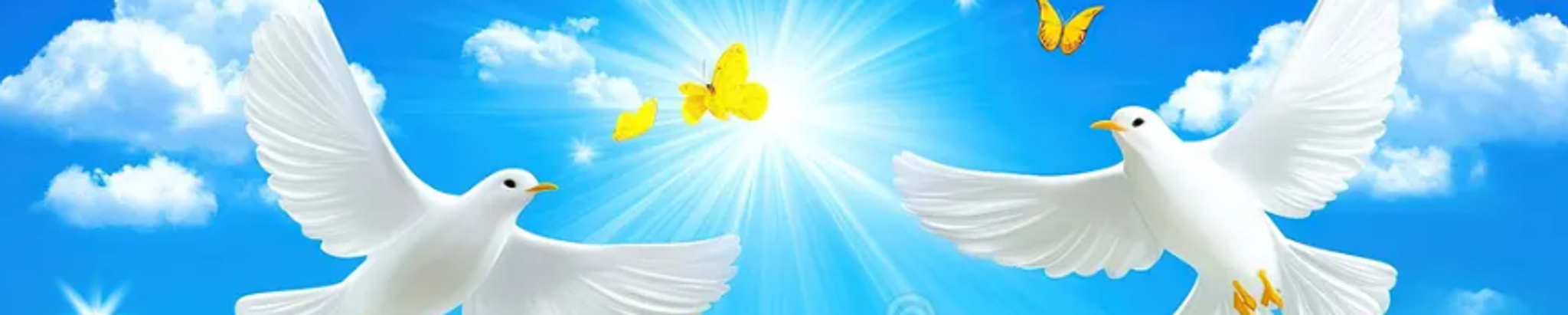 Cover for Dolores Grobe's Obituary