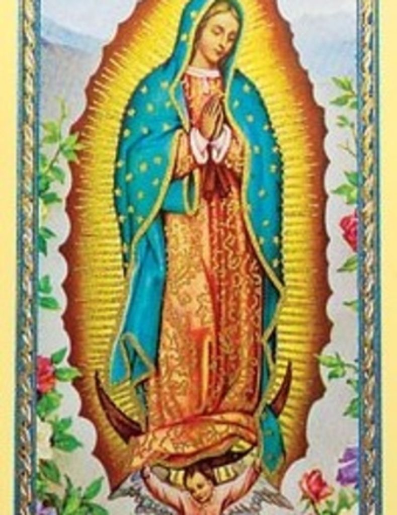 Maria Aranda Torres