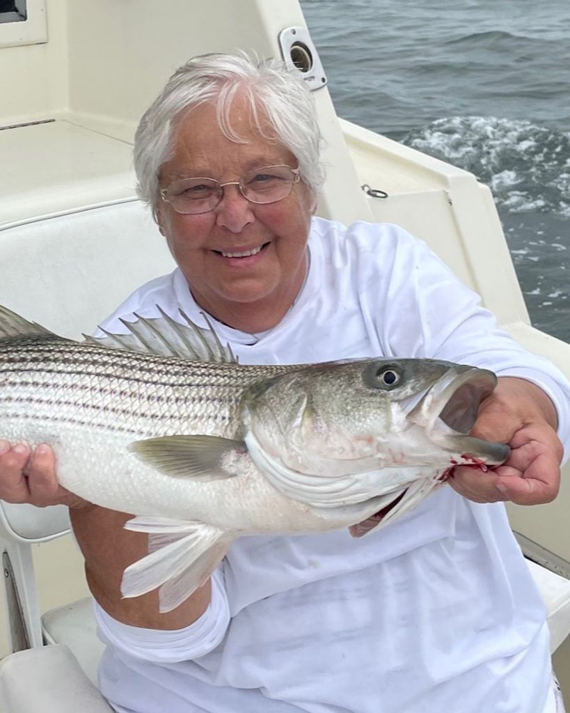Lois Arlene Aukland Profile Photo