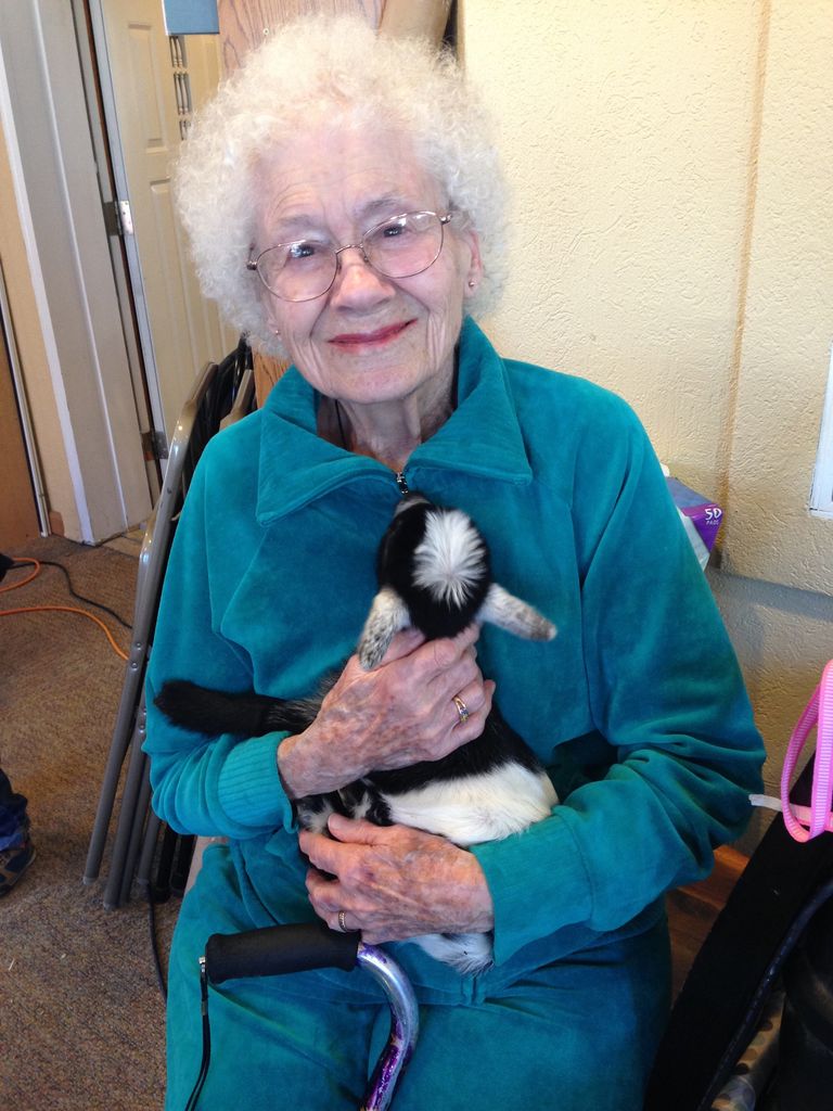 Mary Lowe Shultz