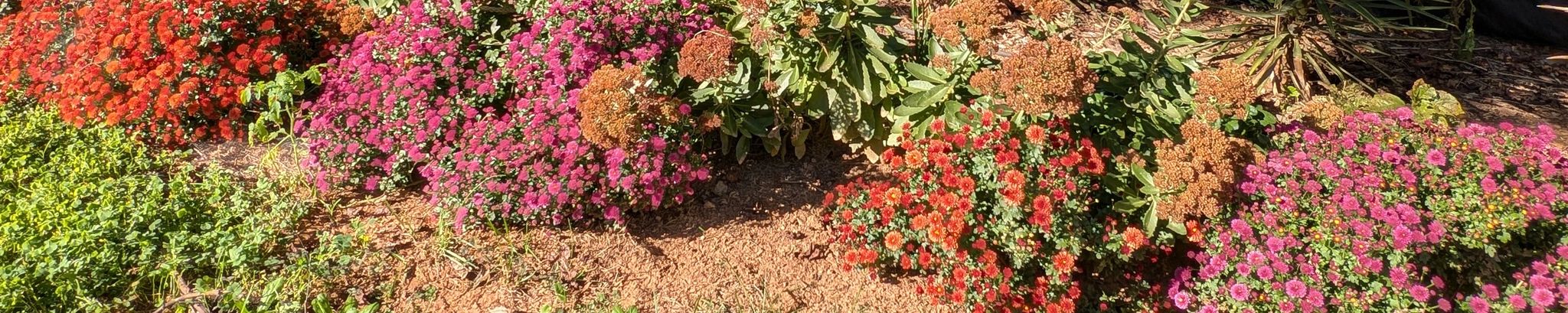 Cover for Walter Leland Cerese's Obituary