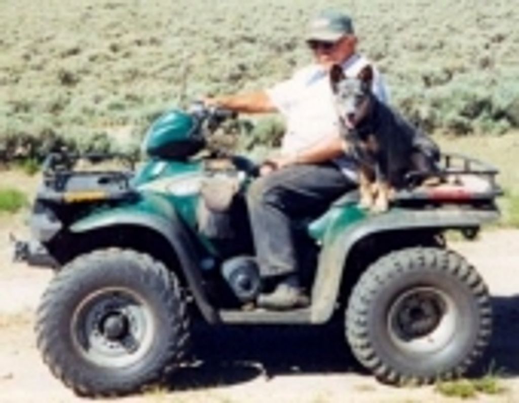 John "Jack" O. Bertagnolli