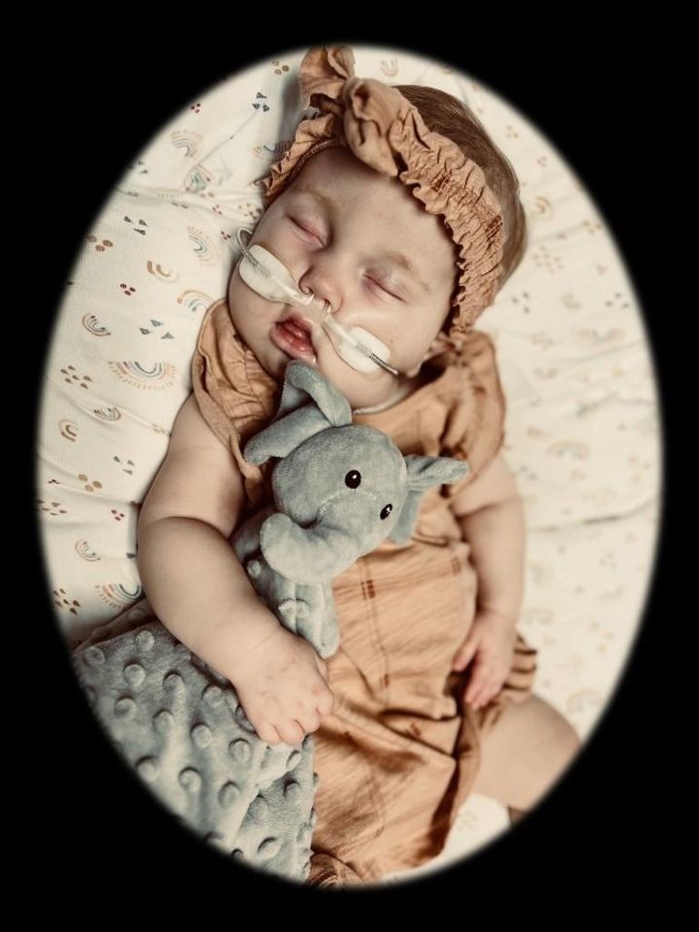 Avery "Grace"  Daum Profile Photo