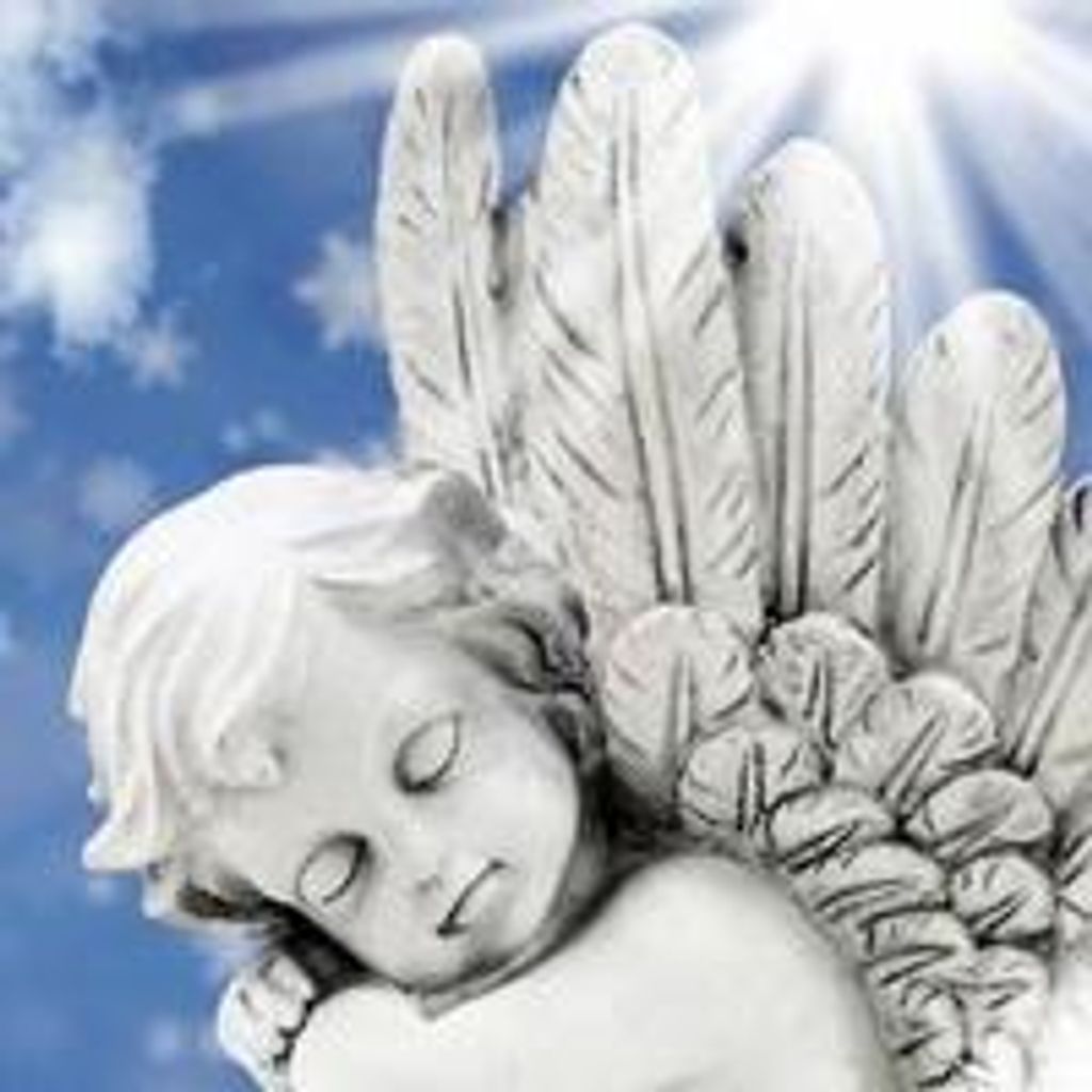 Hayven Love Quiller Profile Photo
