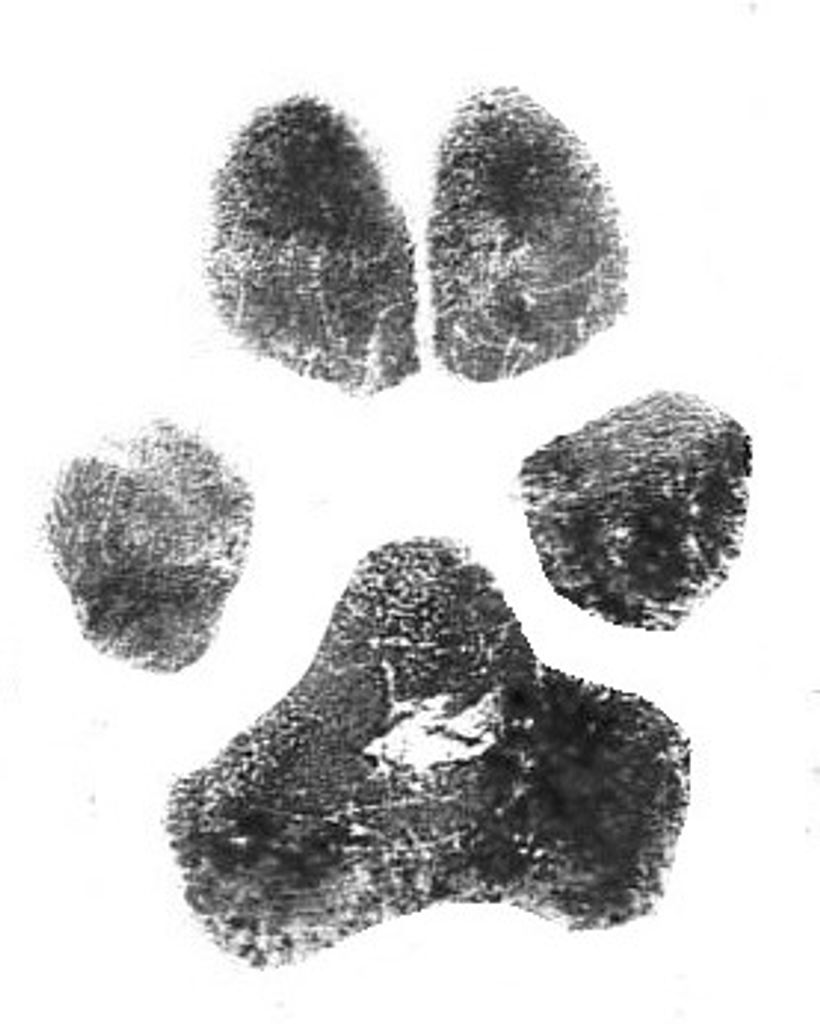 Piper Minton Profile Photo