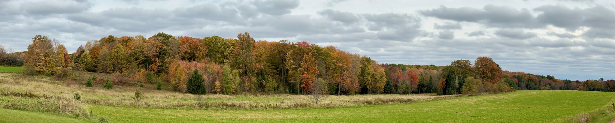 Cover for Paul L. Brandt's Obituary