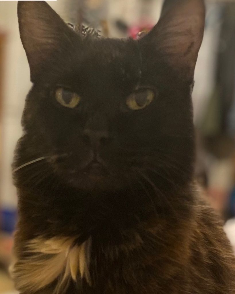 Elizabeth Griffin Profile Photo