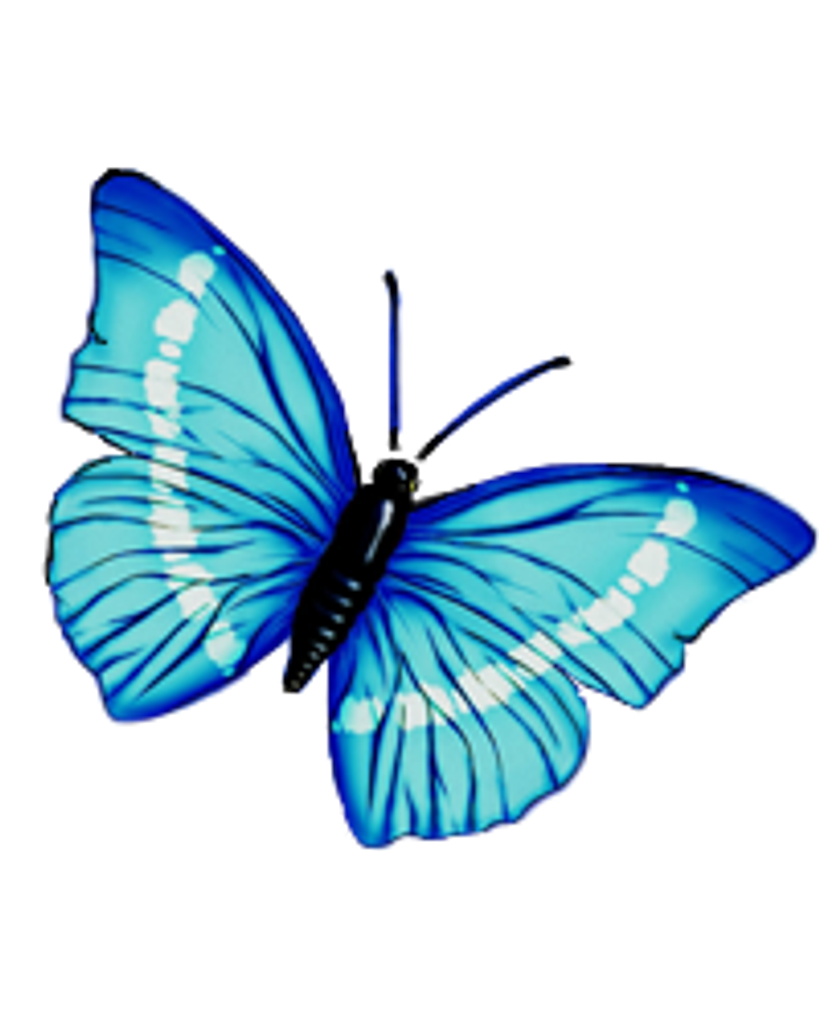 Anna Lee (Watson) Walas Profile Photo