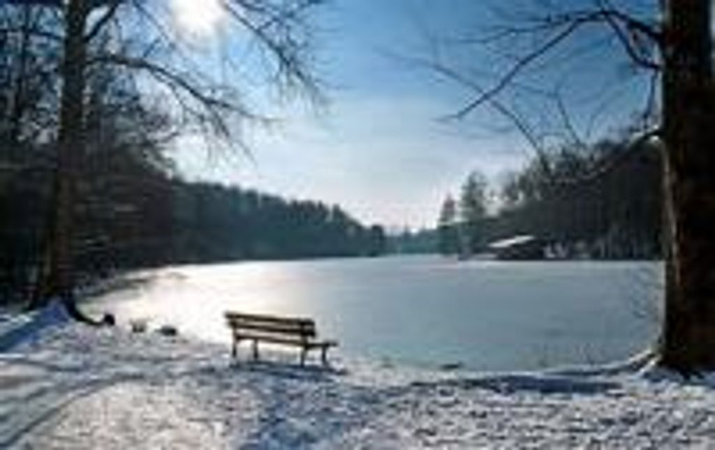 Catherine E. Schmidt