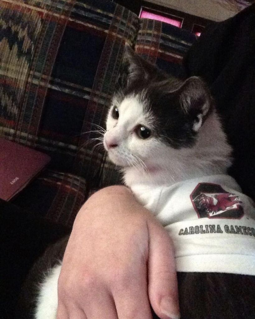 Connor James Profile Photo