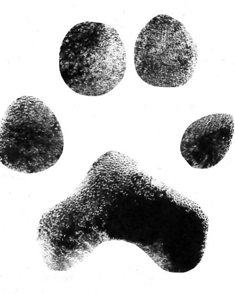 Jack Miller Profile Photo