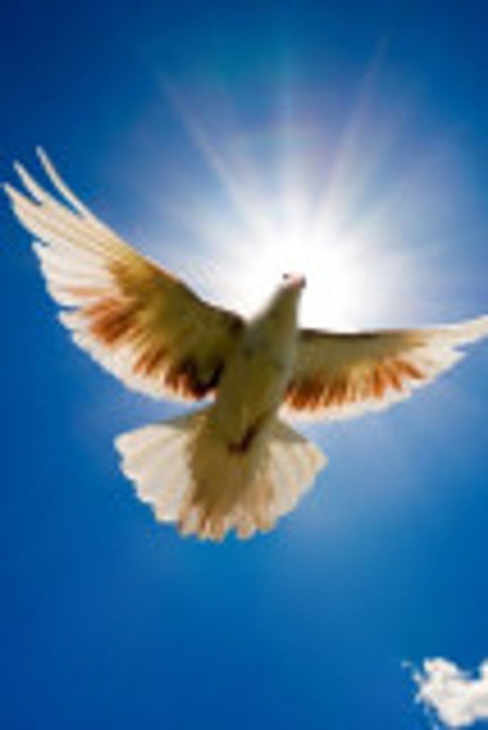 Kathryn  Sue Spillers Profile Photo