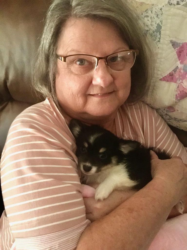 Dephama P. Cody Profile Photo