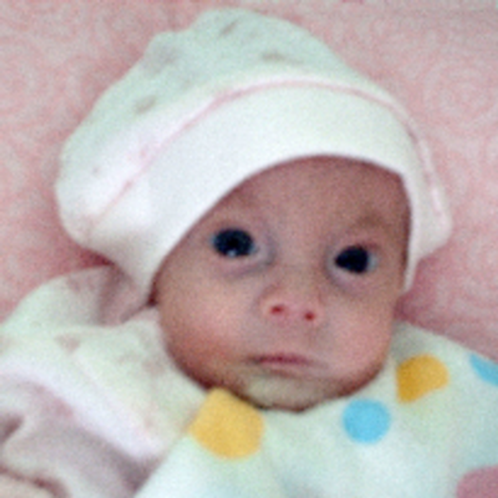 Eliesse Myosotis Tosado