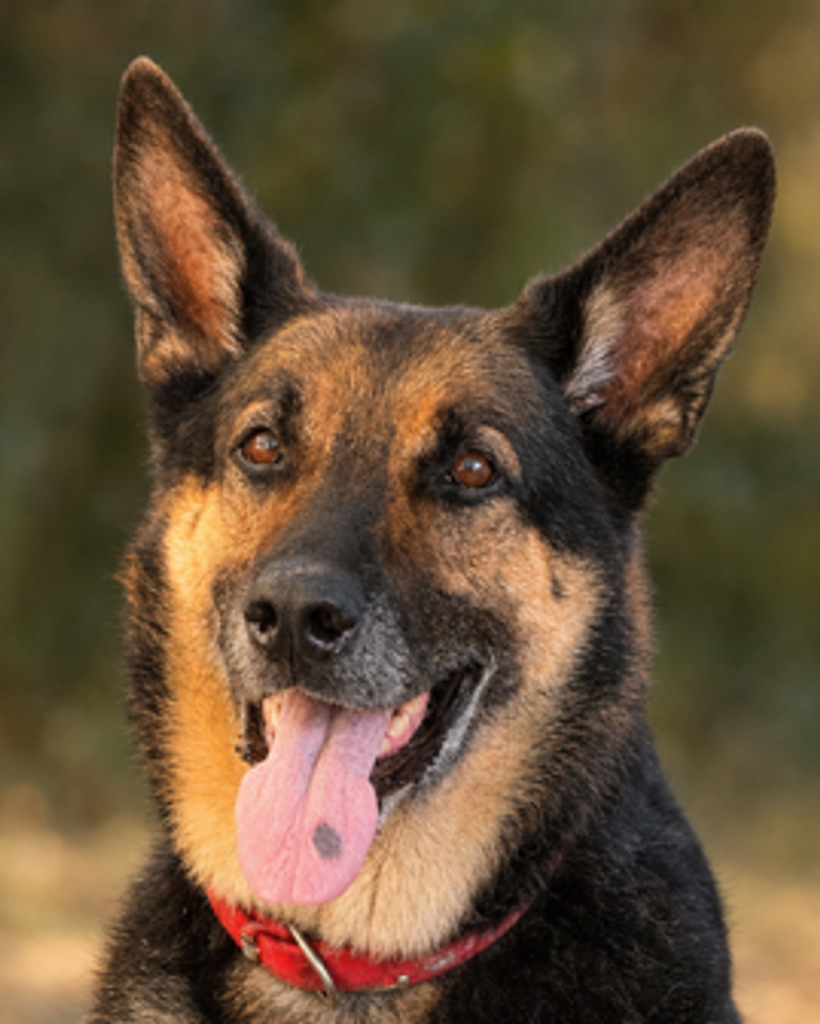 Oakley Machen Profile Photo