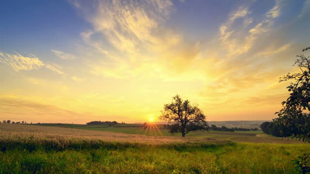 Johnathon Tyler Zuccarini