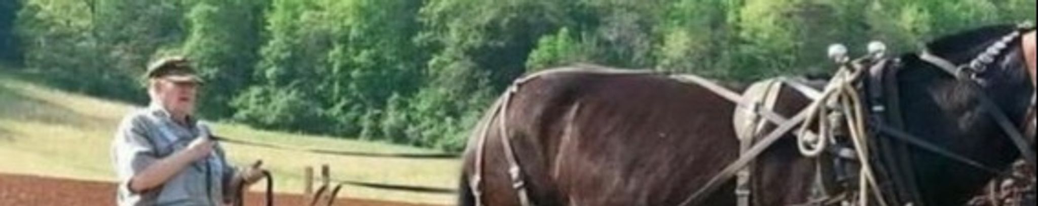 Cover photo for Donald Raymond West's Obituary