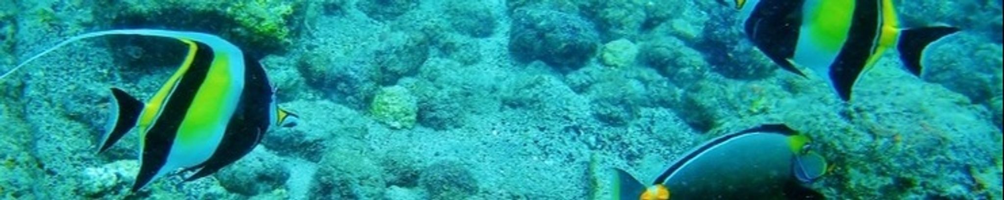 Cover for Robert Lewis Nance's Obituary