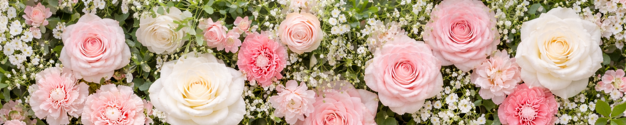 Cover for Sandra Lee Jackson's Obituary