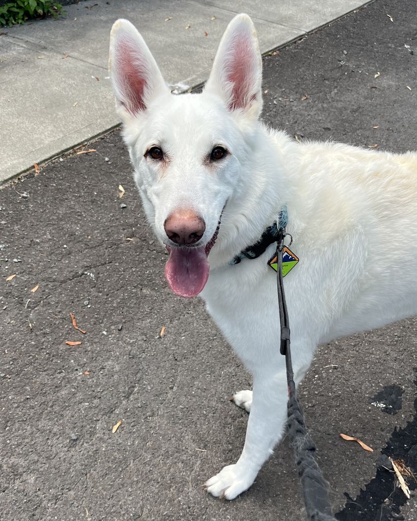 Aspen Calvey Profile Photo