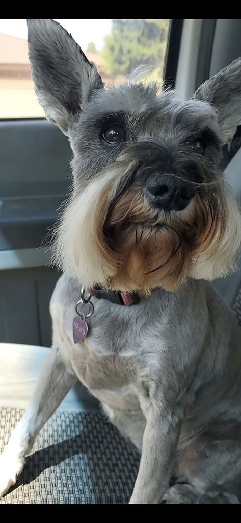 Daisy Profile Photo