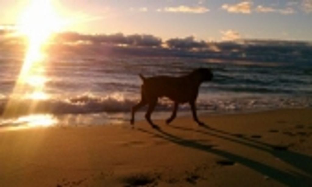 Romeo James Profile Photo