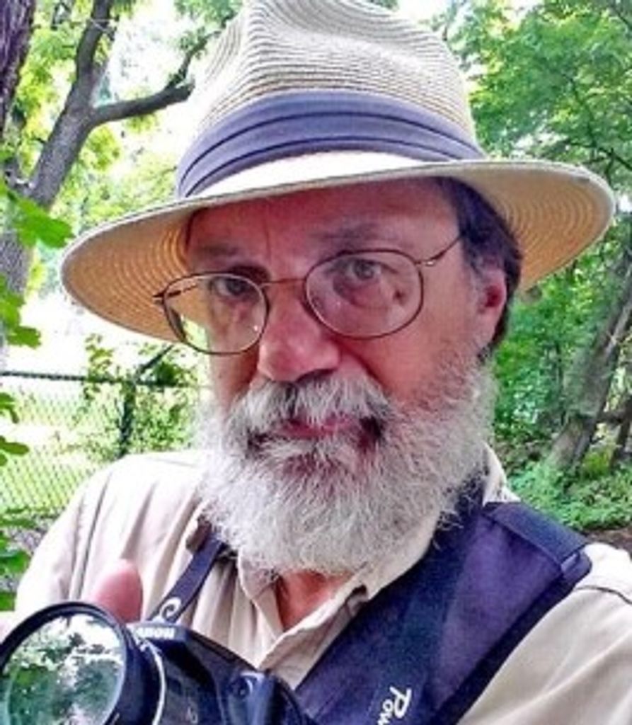 Albert Hilbinger