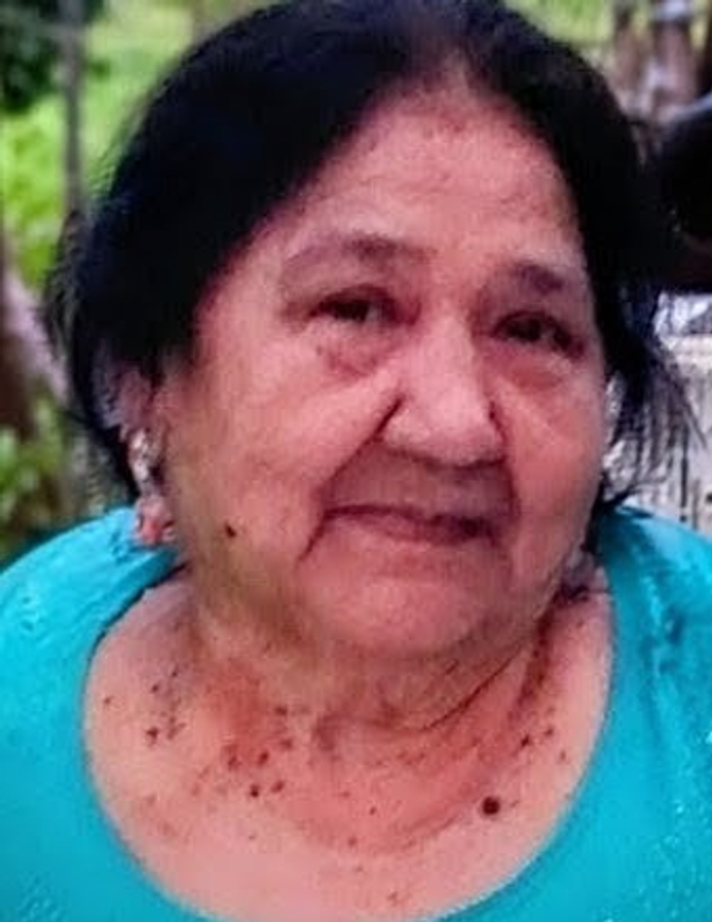 Guadalupe Castillo Ruiz