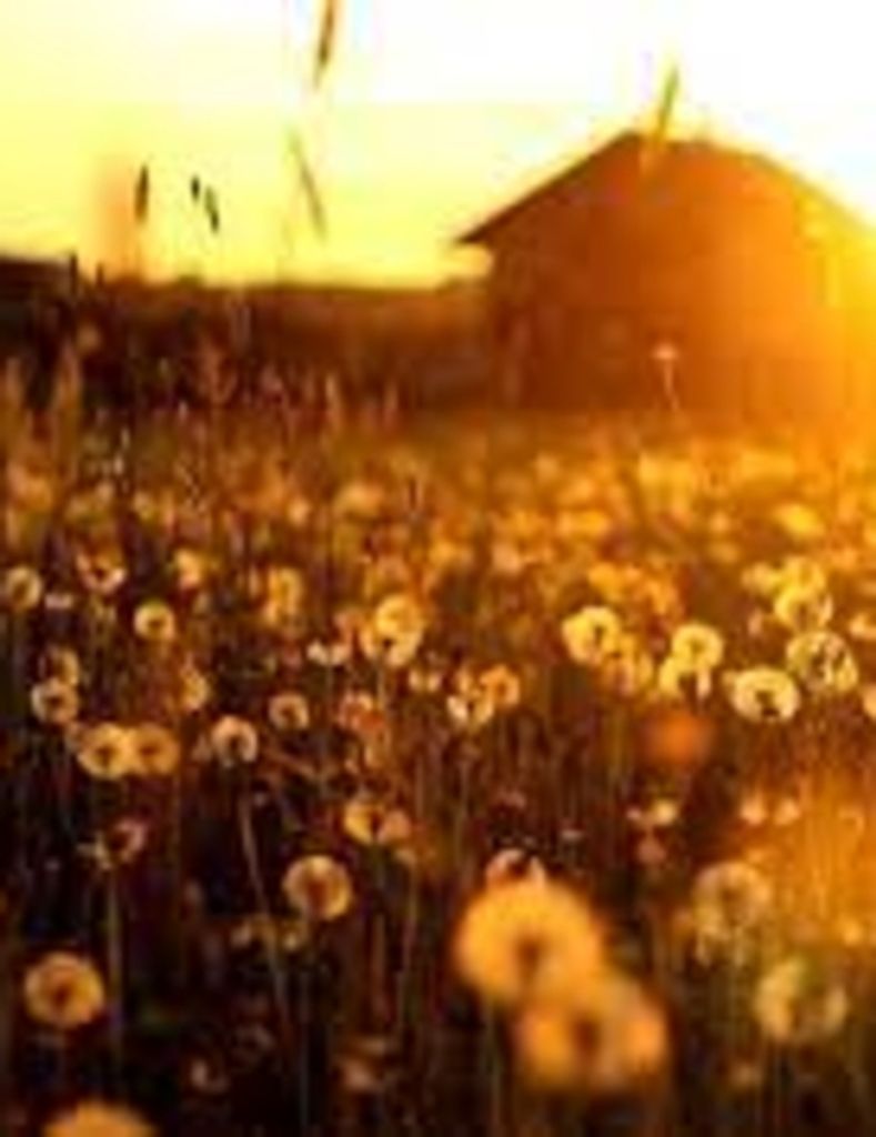 Jerry Levelle Reeves